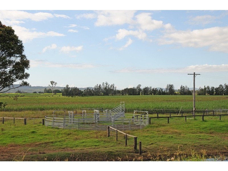 449 Back Kings Creek Road, Lawrence NSW 2460