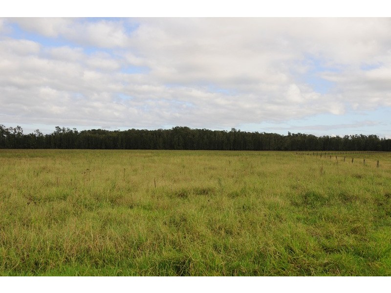 449 Back Kings Creek Road, Lawrence NSW 2460