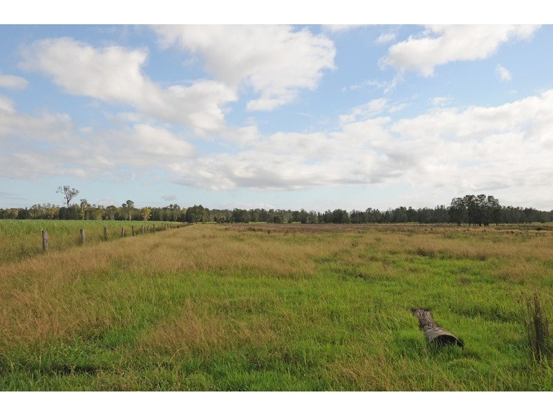 449 Back Kings Creek Road, Lawrence NSW 2460