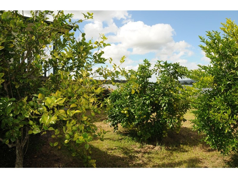 562 Riverbank Road, Lawrence NSW 2460