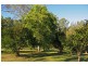 168  Patemans Road, Ashby NSW 2463