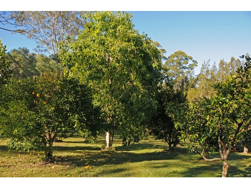 168  Patemans Road, Ashby NSW 2463