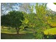 168  Patemans Road, Ashby NSW 2463
