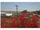 30 Union Street, Maclean NSW 2463
