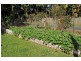 72 Havelock Street, Lawrence NSW 2460