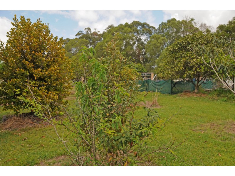 345 Brooms Head Road, Gulmarrad NSW 2463