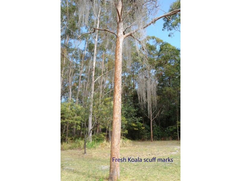 Lot 11 Old Murrayville Road, Ashby NSW 2463