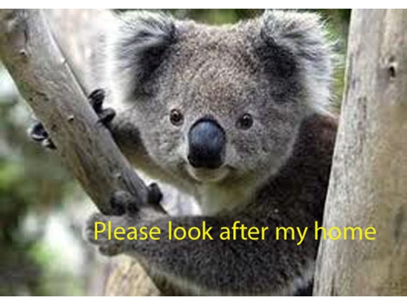 Lot 11 Old Murrayville Road, Ashby NSW 2463