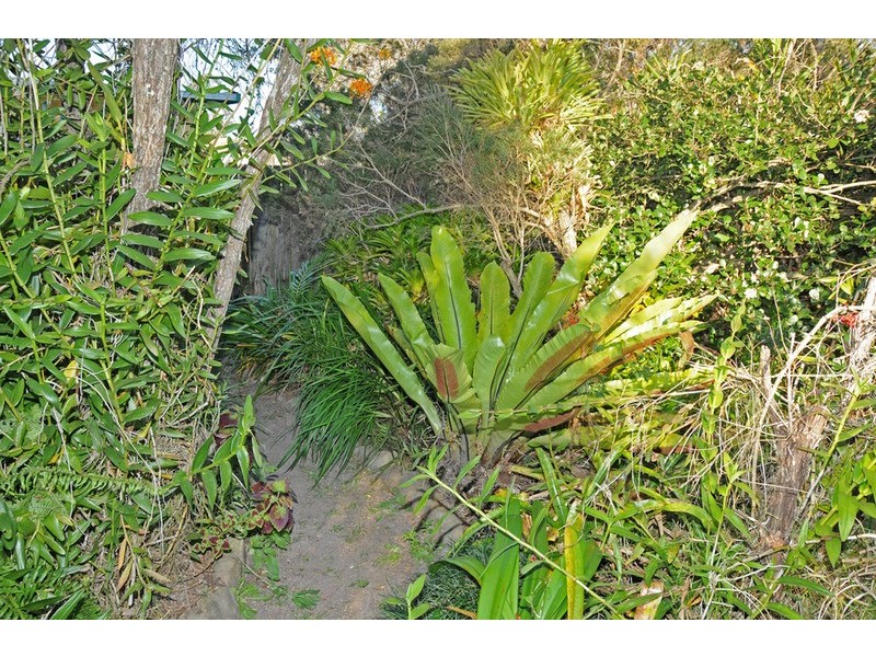 8 Cook Street, Lawrence NSW 2460