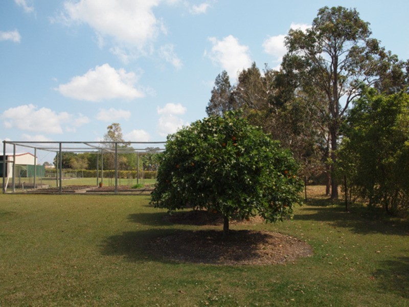 20 Ibis Close, Woombah NSW 2469