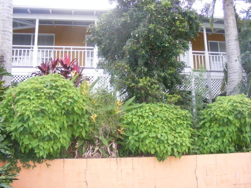 10 Dunoon Crescent, Maclean NSW 2463