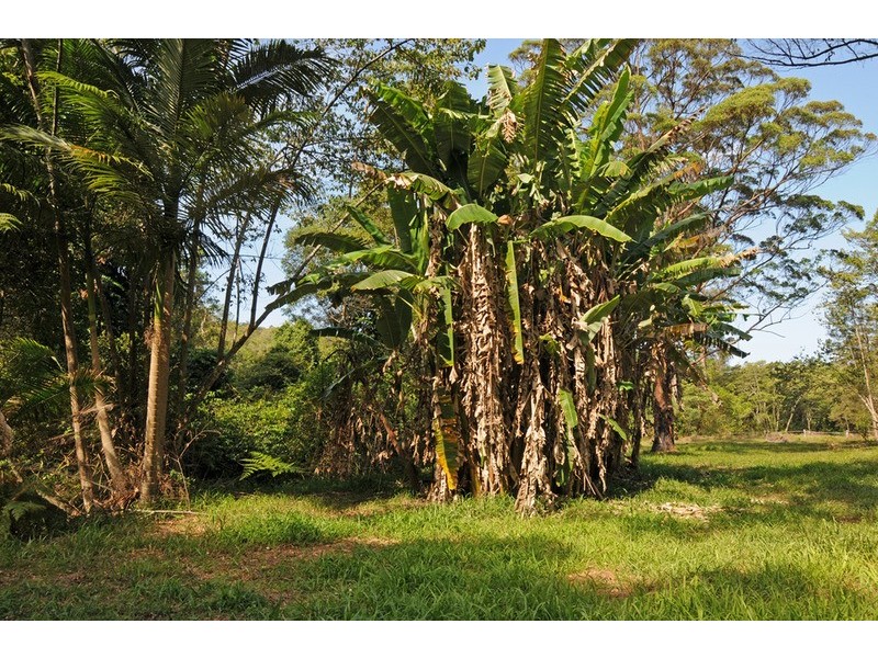 98 Ashby / Tullymorgan Road, Ashby NSW 2463