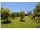 826 Brooms Head Road, Taloumbi NSW 2463