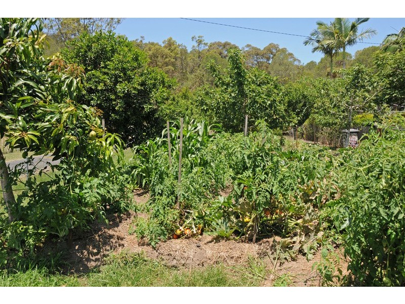 124 Coldstream Road, Tyndale NSW 2460