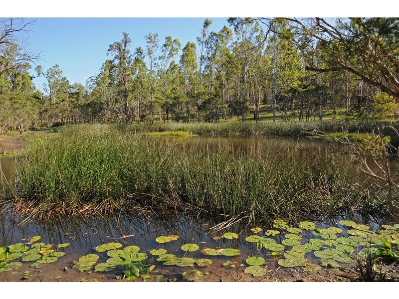 31 Towers Road, Lawrence NSW 2460