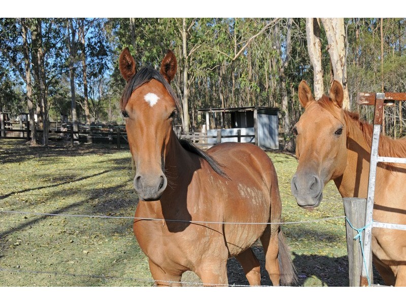 31 Towers Road, Lawrence NSW 2460