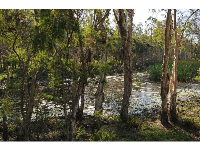 31 Towers Road, Lawrence NSW 2460