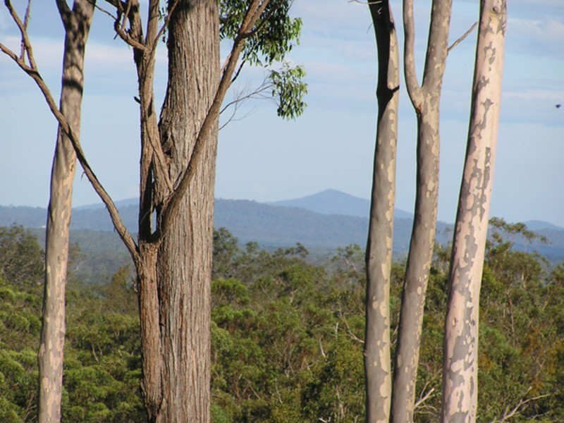 Lawrence NSW 2460