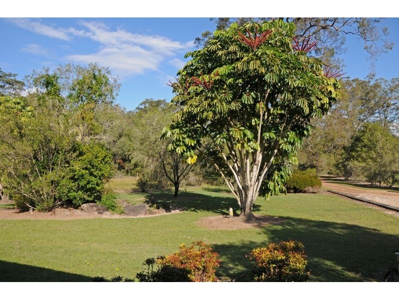 1148 South Arm Road, Brushgrove NSW 2460