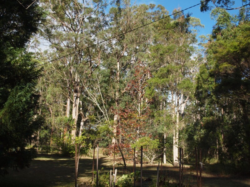 64 West Street, Woombah NSW 2469