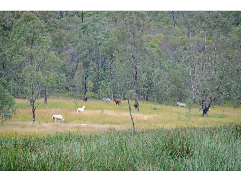 3145 Summerland  Way, Gurranang NSW 2460