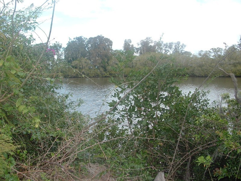 369 Woodford Dale Road, Brushgrove NSW 2460