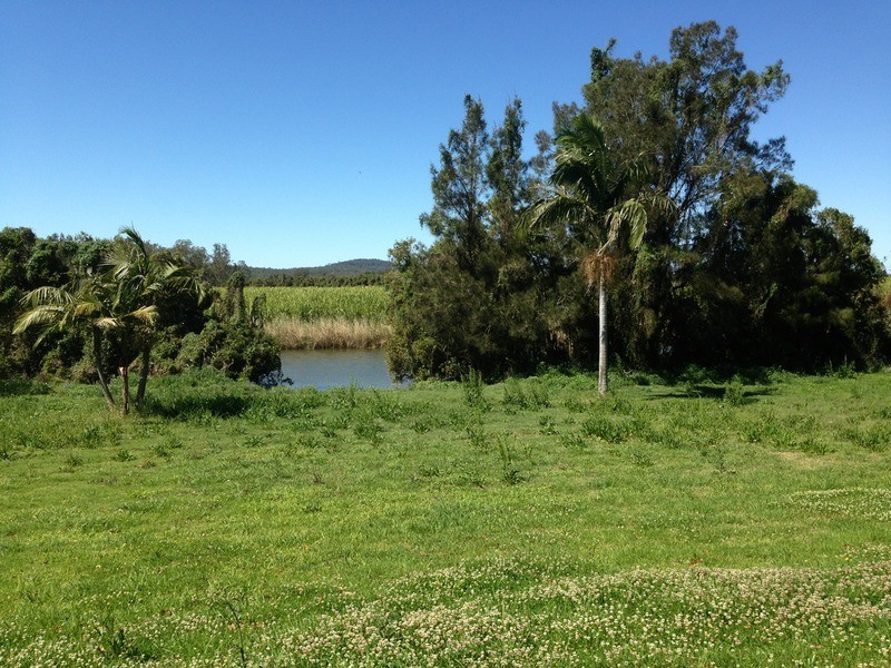 376 Kings Creek Road, Lawrence NSW 2460