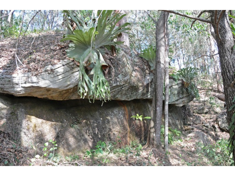 Lot 17 Old Ferry  Road, Ashby NSW 2463