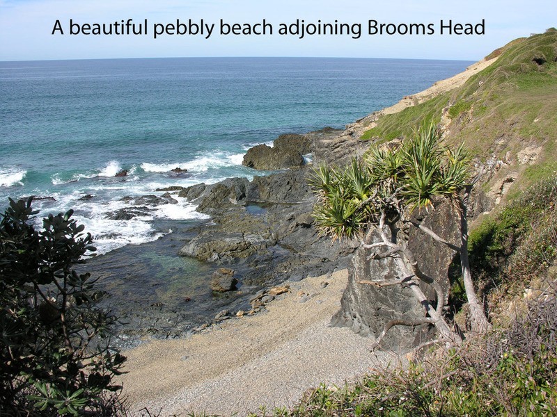 56 Ocean  Road, Brooms Head NSW 2463