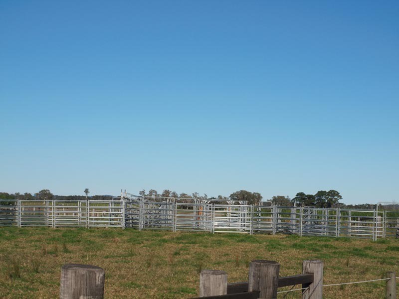 44 Cameron Lane, Palmers Channel NSW 2463