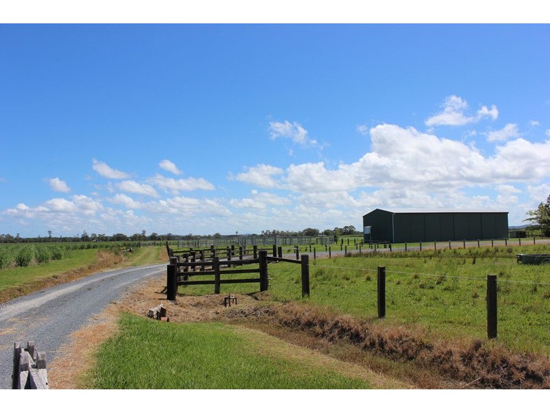 44 Cameron Lane, Palmers Channel NSW 2463