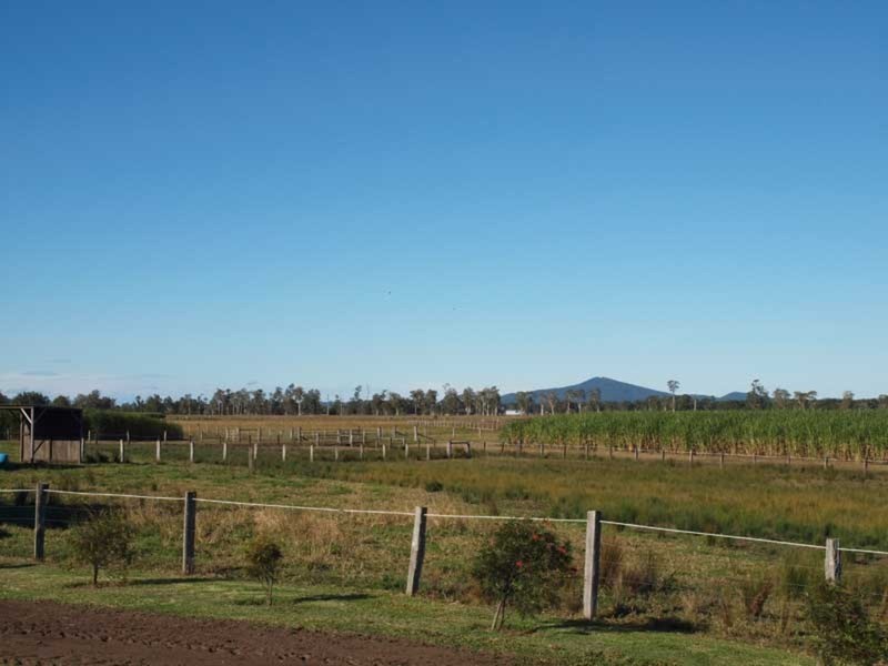 44 Cameron Lane, Palmers Channel NSW 2463