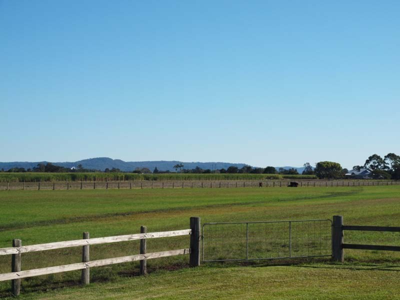 44 Cameron Lane, Palmers Channel NSW 2463