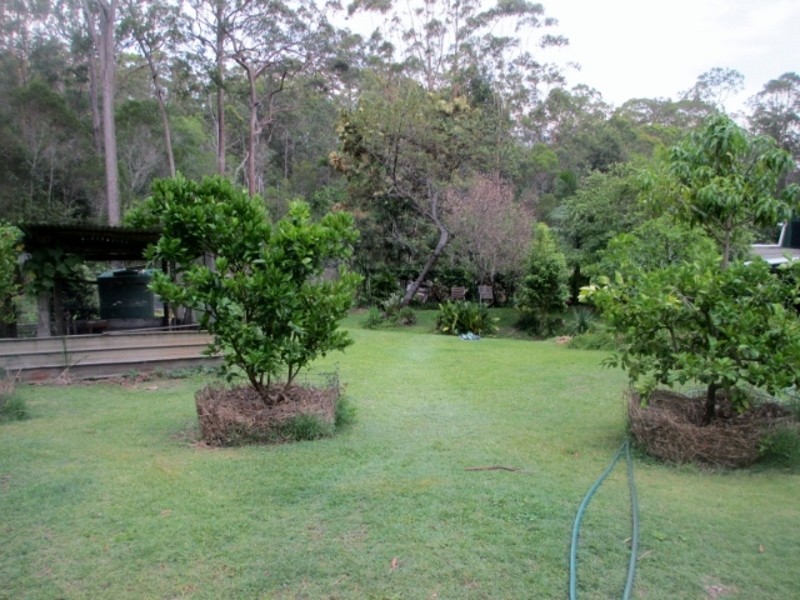 555 Jackybulbin Road, Jacky Bulbin Flat NSW 2463