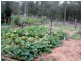 555 Jackybulbin Road, Jacky Bulbin Flat NSW 2463