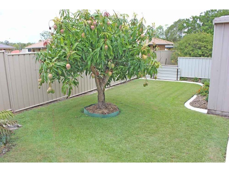 8 Amber Close, Townsend NSW 2463