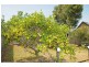 6 Stuart Lane, Lawrence NSW 2460