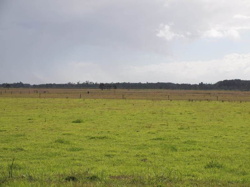 Palmers Channel NSW 2463