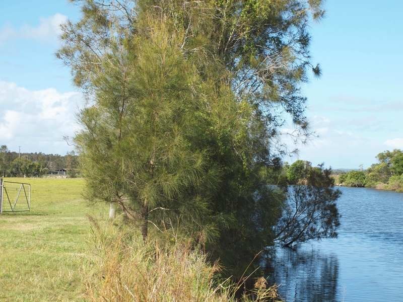 Palmers Channel NSW 2463