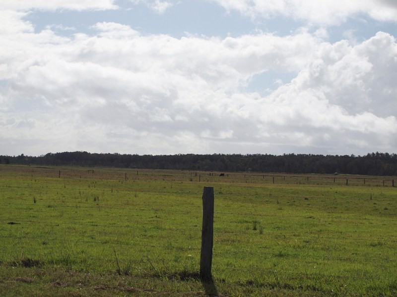 Palmers Channel NSW 2463