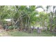 47 Crisp Drive, Ashby NSW 2463
