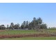 Brushgrove NSW 2460