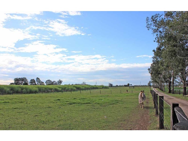 359 South Arm School Road, Brushgrove NSW 2460