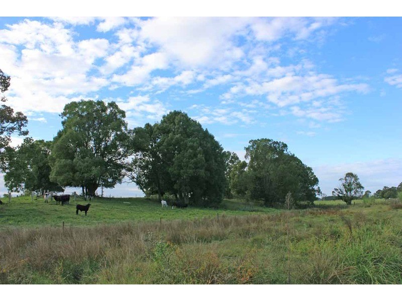 359 South Arm School Road, Brushgrove NSW 2460