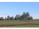 359 South Arm School Road, Brushgrove NSW 2460
