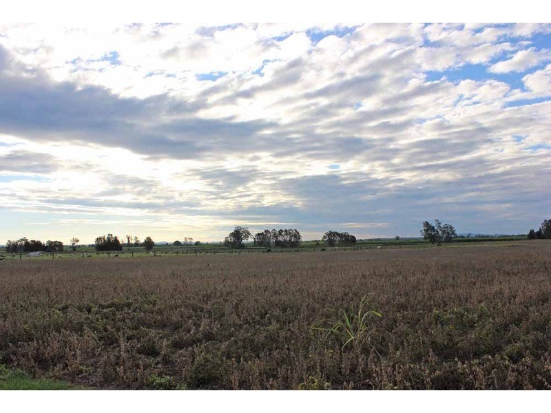 359 South Arm School Road, Brushgrove NSW 2460
