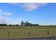 359 South Arm School Road, Brushgrove NSW 2460
