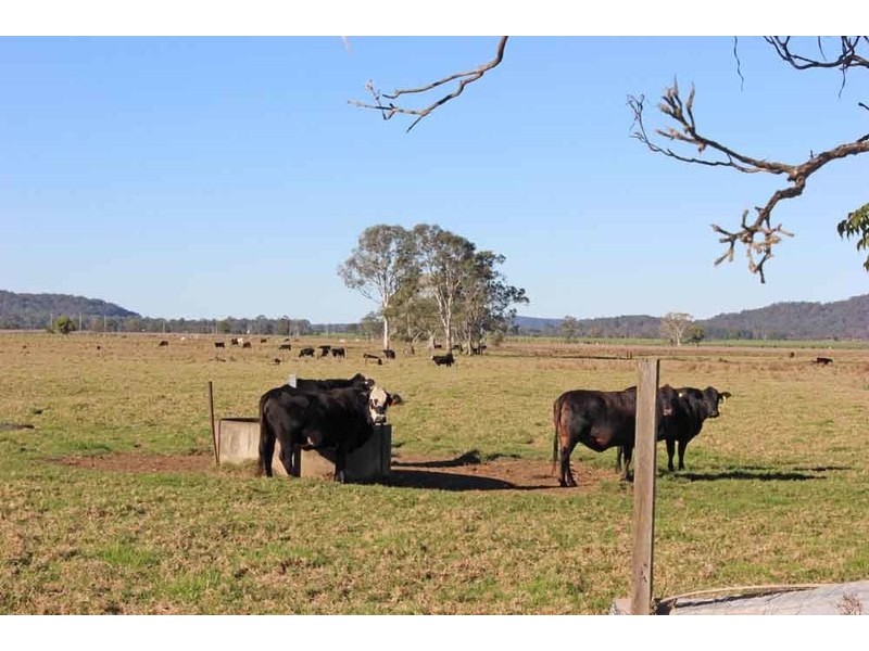 607 Woodford Dale Road, Brushgrove NSW 2460