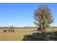 607 Woodford Dale Road, Brushgrove NSW 2460