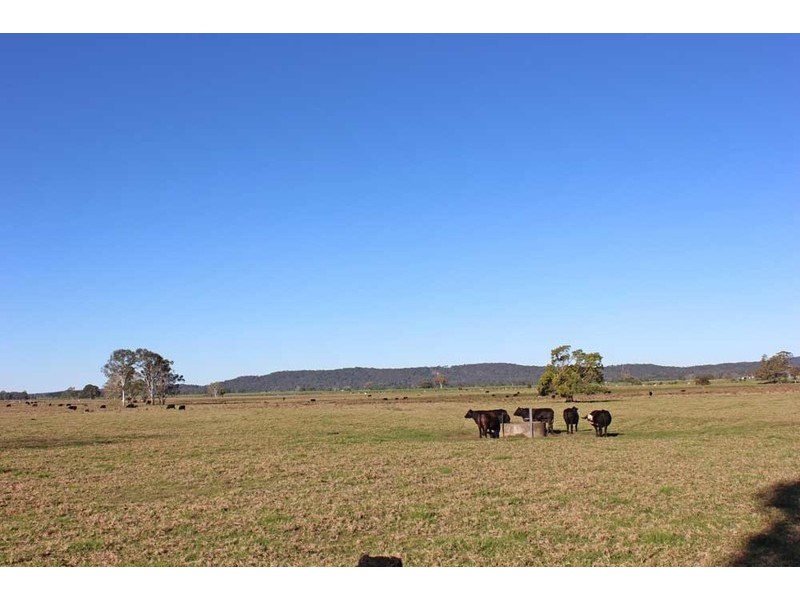 607 Woodford Dale Road, Brushgrove NSW 2460